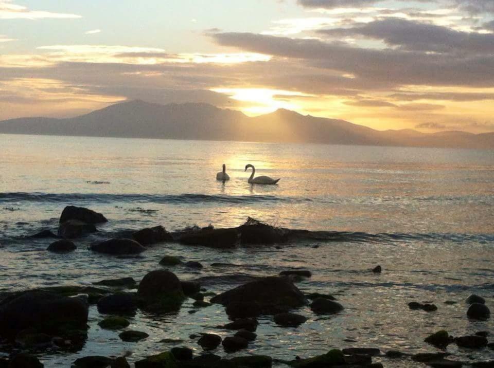 Tarbert Lejlighed West Kilbride Eksteriør billede